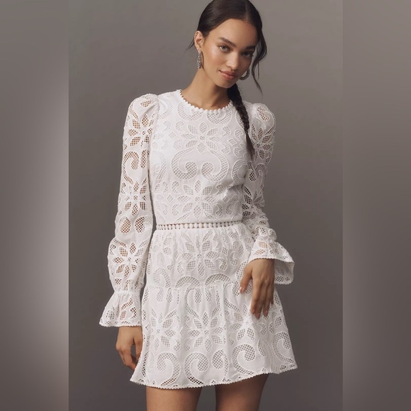 Anthropologie Dresses & Skirts - NWT! Anthro Saylor Marilla Long-Sleeve Eyelet Lace Mini Dress - M Petite, Small⏰